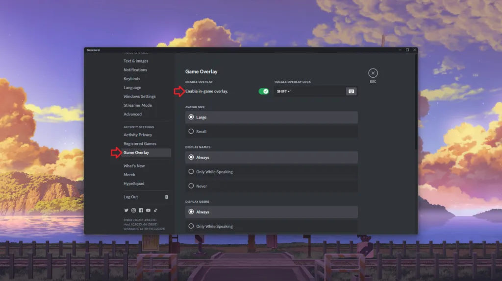 Disable In-game Overlays on Discord
